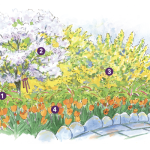 expert spring garden layout for the mountain west