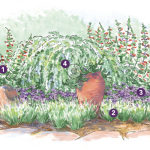expert spring garden layout for the southwest