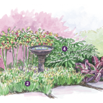 expert spring garden layout for the midwest