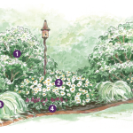expert spring garden layout for the southeast