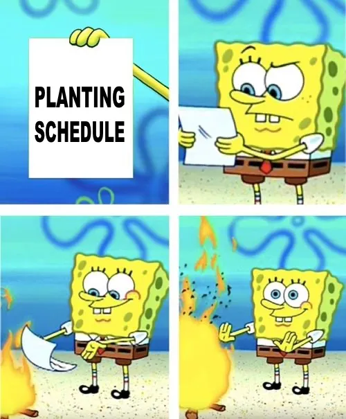 Start Cool-Season Vegetables Indoors: February Gardening Tips Start Cool-Season Vegetables Indoors: February Gardening Tips