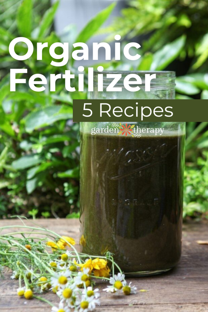 the advantages of organic fertilizer: 5 natural fertilizer recipes 7 the advantages of organic fertilizer: 5 natural fertilizer recipes