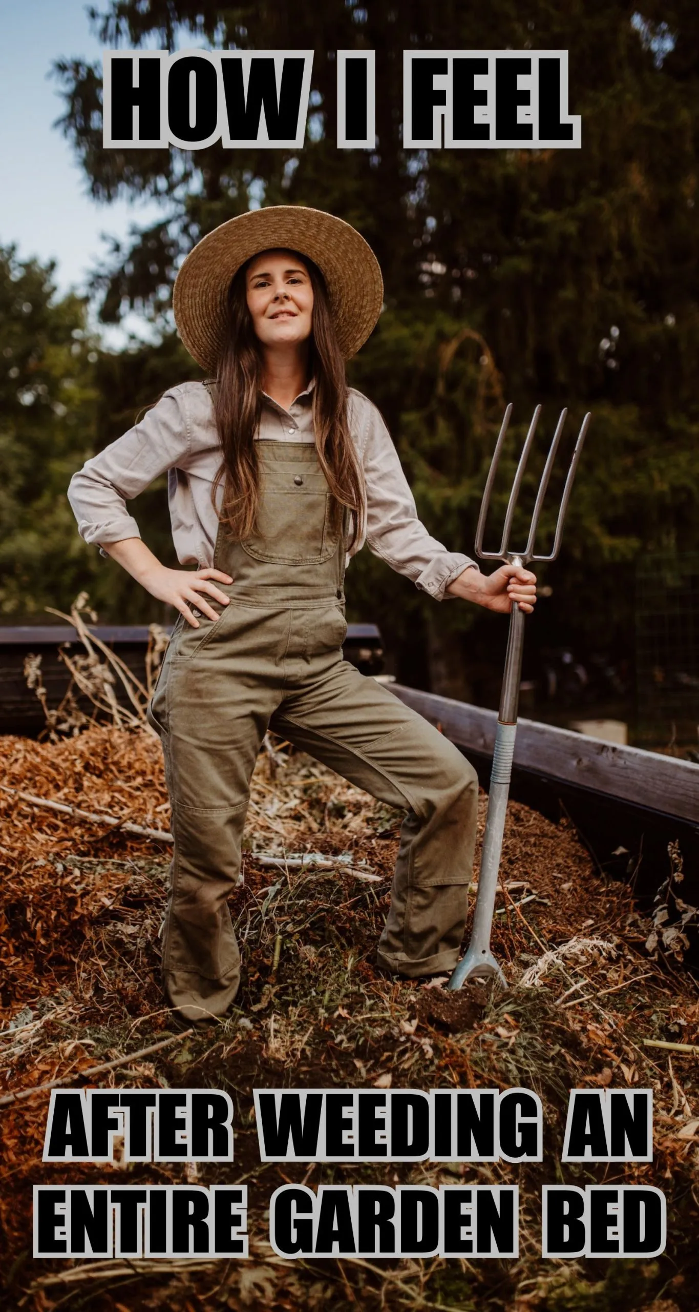 The glorious triumph of a weed-free garden bed – Home for the Harvest The glorious triumph of a weed-free garden bed – Home for the Harvest