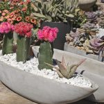 Creating a Low-Maintenance Garden: Tips and Tricks