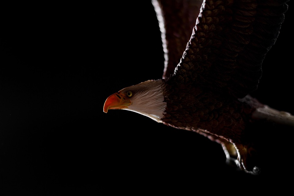Seasonal Ritual: Jamming Willows into Thickets Drenched in Mist