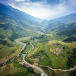 Symbolic Essay: Seedlings Singing Silent Love Stories