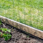 home 22 benefits of putting a fence around your garden