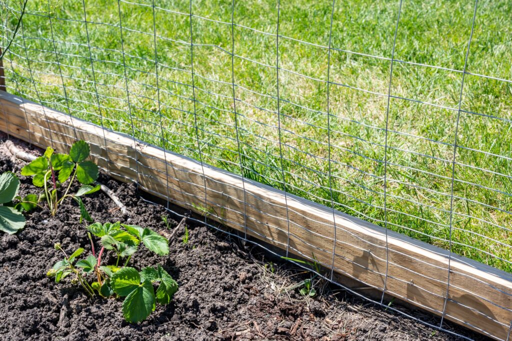 Benefits of Putting a Fence Around Your Garden