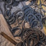 Symbolic Essay: Nesting Solace in Chickenwire Clouds of Clover