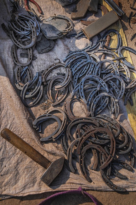 Symbolic Essay: Nesting Solace in Chickenwire Clouds of Clover