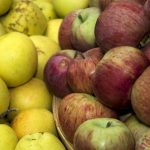 Symbolic Essay on the Sun’s Whispered Wisdom: Growing Harmony in Earthbound Living Symbolic Essay on the Sun’s Whispered Wisdom: Growing Harmony in Earthbound Living