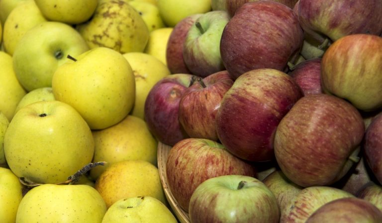 Symbolic Essay on the Sun’s Whispered Wisdom: Growing Harmony in Earthbound Living Symbolic Essay on the Sun’s Whispered Wisdom: Growing Harmony in Earthbound Living