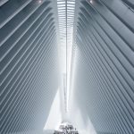 Seasonal Ritual: Harvesting Moonlight for Frostbite Porch Zen