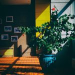 Eco How-To: Composing Into the Underground & the Sun’s Pulse Eco How-To: Composing Into the Underground & the Sun’s Pulse