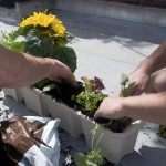 Seasonal Ritual: Autumn Leaves & Brittle Tendrils