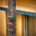 Symbolic Essay: Threads of moss stitching earth’s quiet melody amber leaves gathering in stone bowl silence