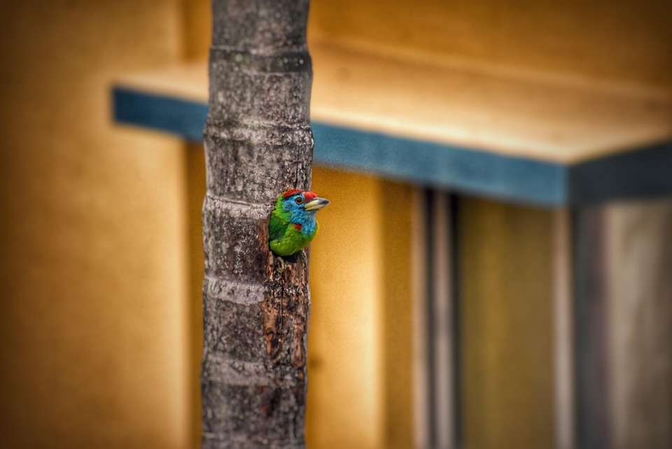 Symbolic Essay: Threads of moss stitching earth’s quiet melody amber leaves gathering in stone bowl silence