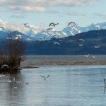 Eco How-To: Nectar Wars Where Concrete’s Veins Drip Nectar