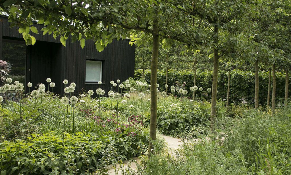 Garden Pros Love a Black House. Here’s Why