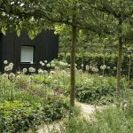 Garden Pros Love a Black House. Here’s Why Garden Pros Love a Black House. Here’s Why