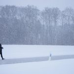 to the Heartwood of Peace (5 words) to the Heartwood of Peace (5 words)