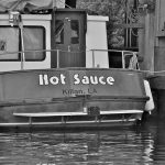 Symbolic Essay: The Language of Moisture in Wet Gardens