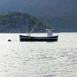 Eco How-To: Weaving Blooms into Earth’s Tapestry