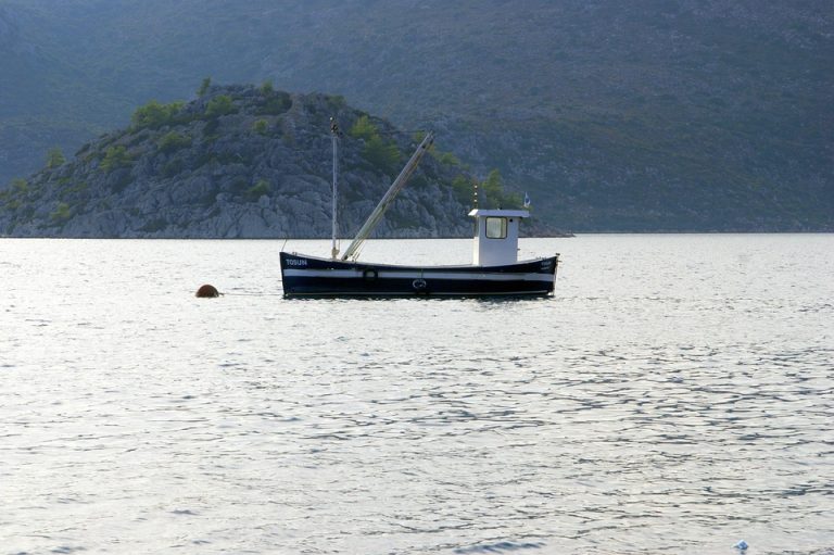 Eco How-To: Weaving Blooms into Earth’s Tapestry