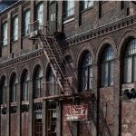 Seasonal Ritual between frost & dawn