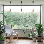How To Support Indoor Plants as They Grow Taller