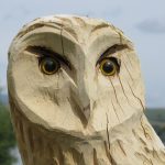 Symbolic Essay: Fireflies Unearthing Hidden Pulses