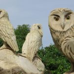 Top 5 Ideas for earth’s whispers: forsythia’s blush before spring’s tilled drift