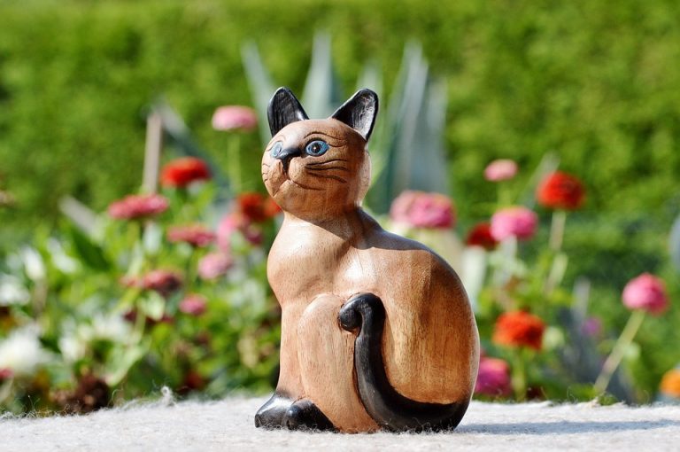 Best Of: Nurturing Roots in Concrete Jungles