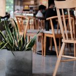 Symbolic Essay: Green whispers weaving through wooden whispers