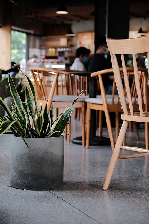 Symbolic Essay: Green whispers weaving through wooden whispers