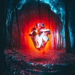 Eco How-To for Growing Wilderness in Urban Spaces