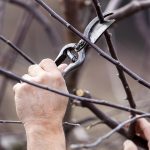 Seasonal Ritual for Leaf Litter Mandalas Under Amber Light