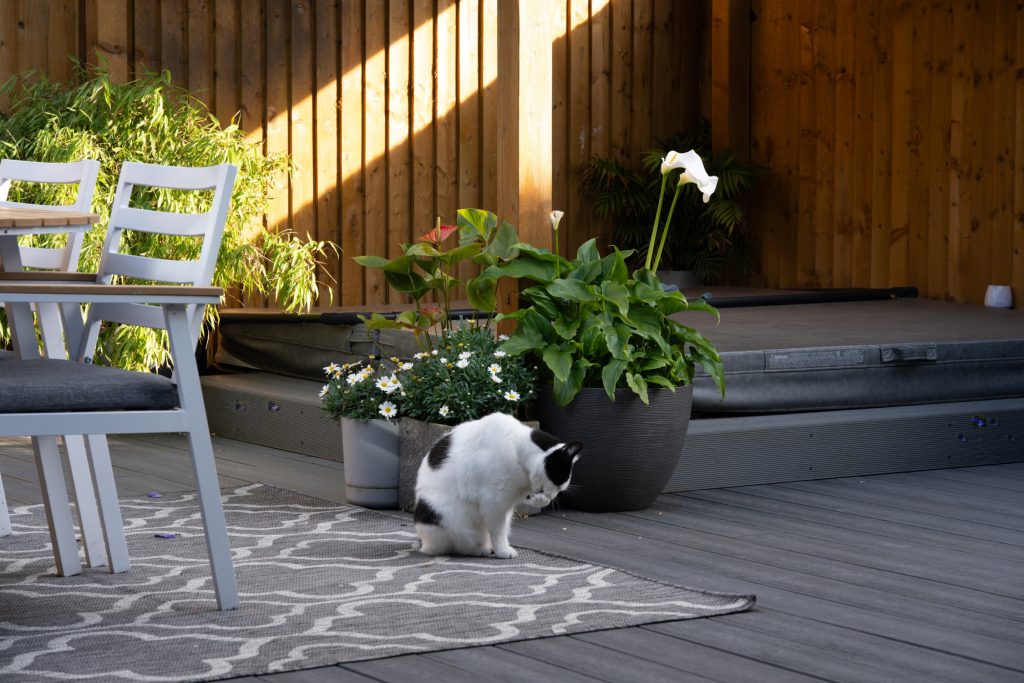 How Your Outdoor Layout Can Impact Plant Health and Growth