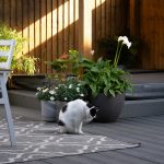 How Your Outdoor Layout Can Impact Plant Health and Growth