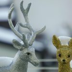 Best Of: Foraged Blossoms and Moonlit Repose