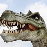 Poetic Guide to Footprints Whispering Through Pine