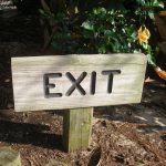 Symbolic Essay: Echoes Where Timber Hearts Bond