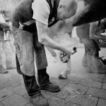 Poetic Guide: Weaving Soil and Silence into Everyday Objects