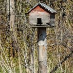 Best Of Moonlit Weaving: Crafting Dreams in Starlit Fields