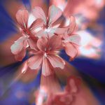 Best Of: Ember-Roasted Vetiver Flame