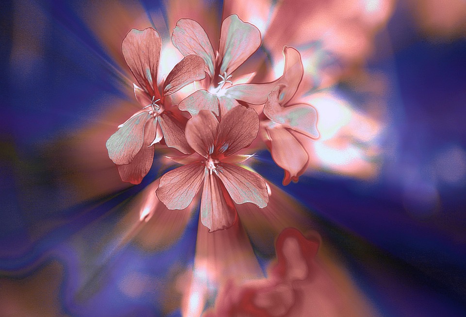 Best Of: Ember-Roasted Vetiver Flame