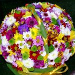 Best Of: Ethereal Clay from Riverbed Story Stones