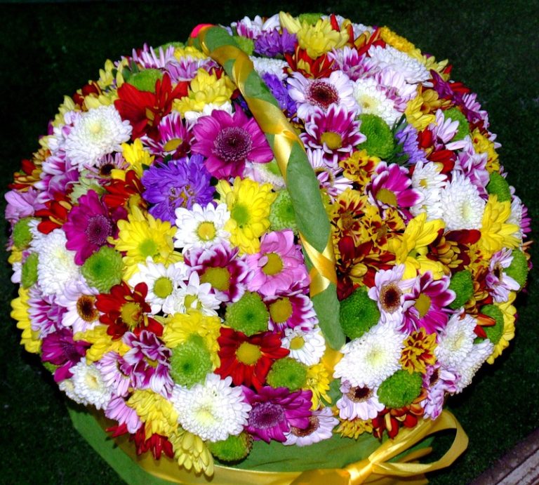 Best Of: Ethereal Clay from Riverbed Story Stones