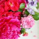 Thistlekeeping – Thistlewood Farm Thistlekeeping – Thistlewood Farm