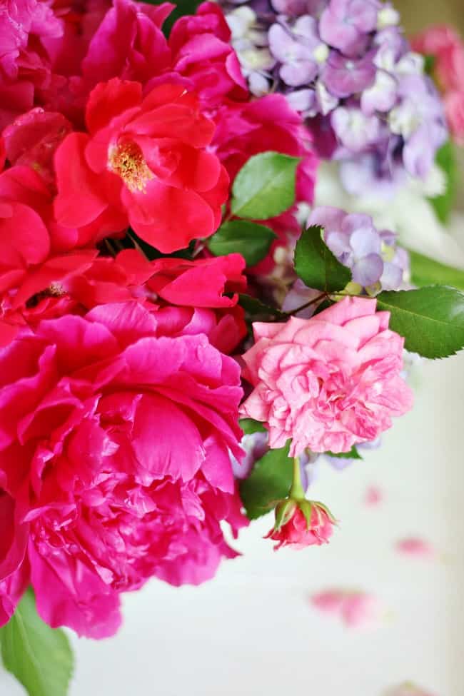 Thistlekeeping – Thistlewood Farm